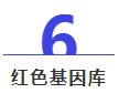 香港内部精准资料+官方