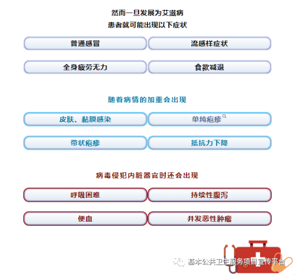 香港内部精准资料+官方